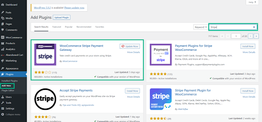 WooCommerce Stripe Payment Gateway