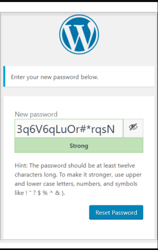 auto generated password