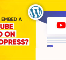 Embed a YouTube Video on WordPress
