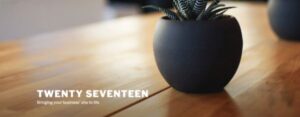Twenty Seventeen WordPress Blog Themes