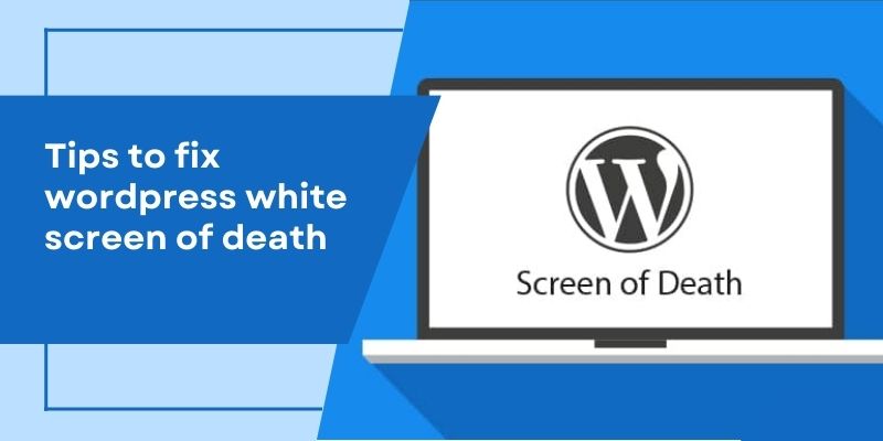 wordpress white screen of death